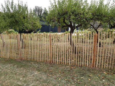 Clôture ganivelle bois à lattis