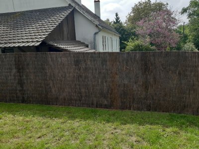 Horticulture amboise palissade Canisse